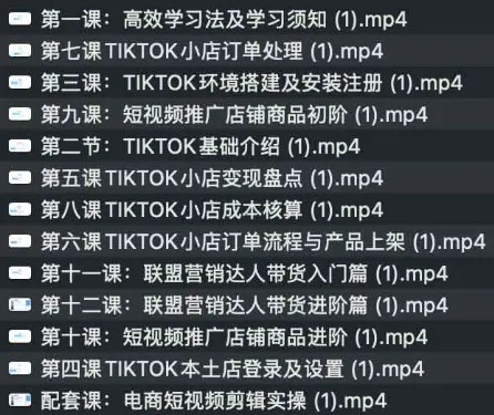 TikTok跨境电商全流程课程:从入门到实操,掌握流量变现与小店运营