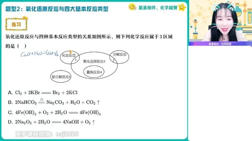 2024高一化学精品课：名师王瑾全攻略课程
