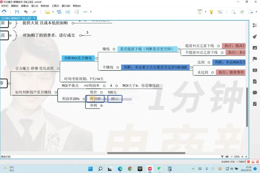 淘系电商引力魔方群爆战术:高ROI推广实战课