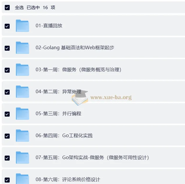 Go进阶训练营4期：带源码课件
