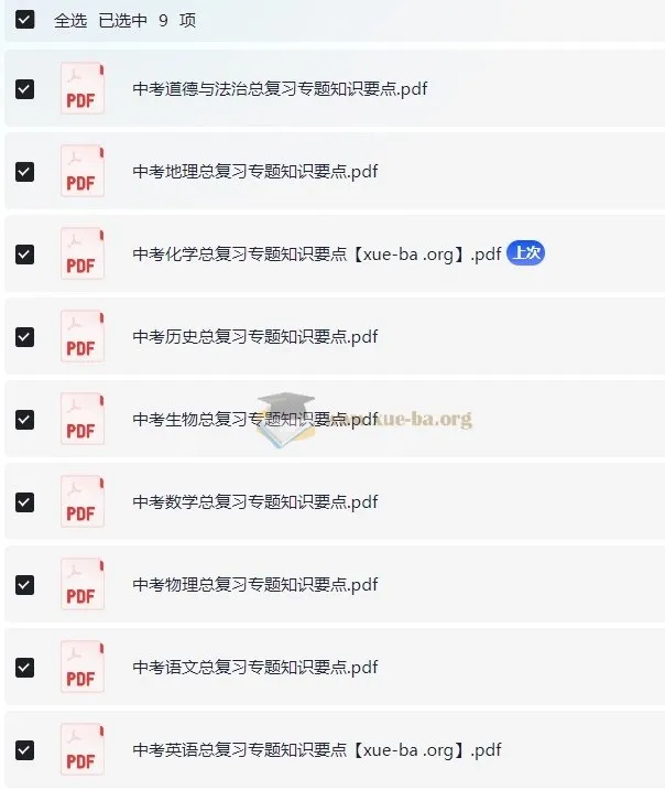 中考总复习专题知识点资料