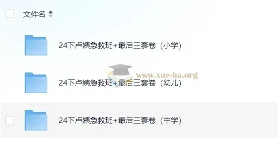 2024教资卢姨押题最后三套卷及急救班
