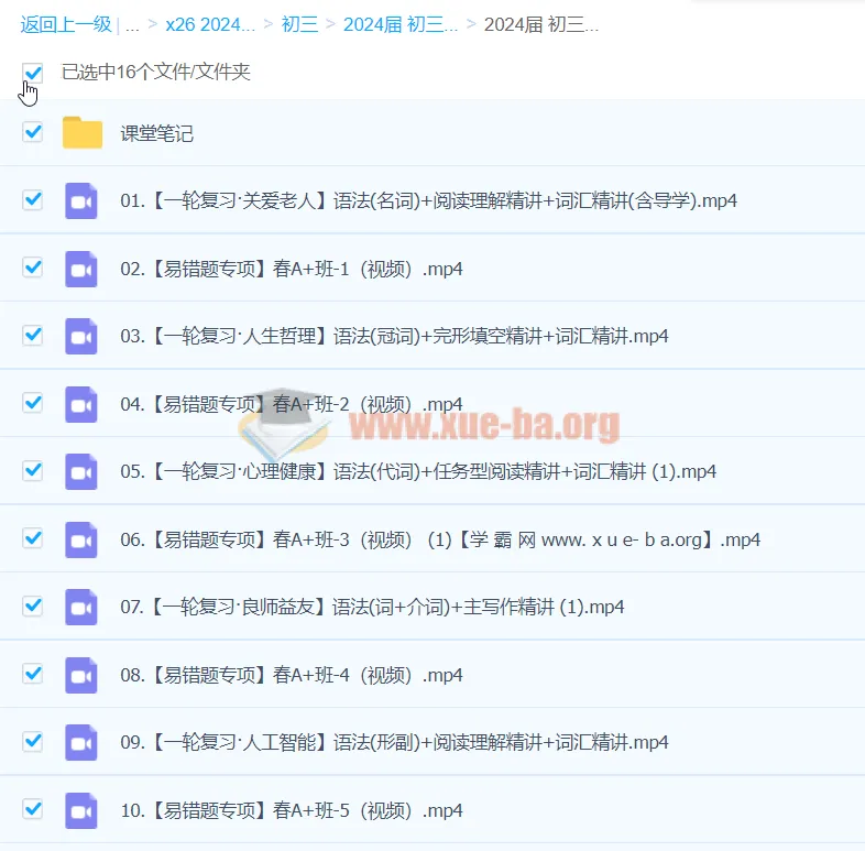 2024初三中考英语林淼A+尖端寒假班