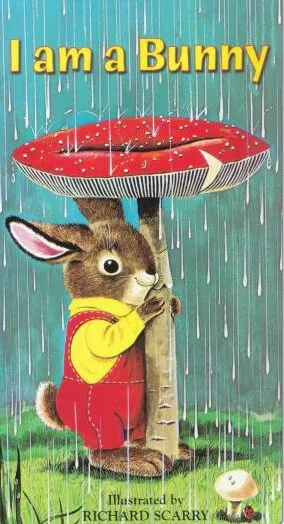 英语儿童绘本故事《I am a Bunny》精美PPT