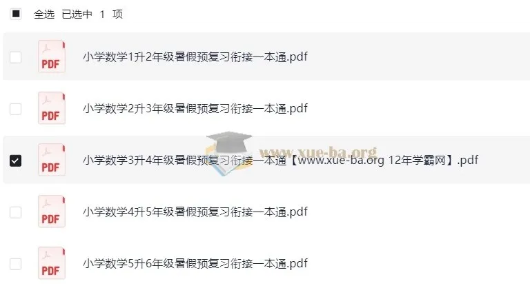 2025年小学数学暑假预复习衔接一本通