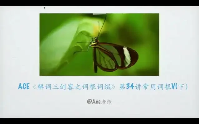 掌握267个核心词根:英语单词速记秘籍