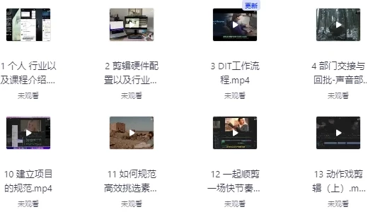 莱尼日记影视剪辑全流程入门与短剧实战课