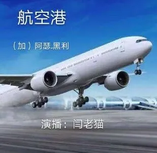 阿瑟·黑利职场小说《航空港》82集全