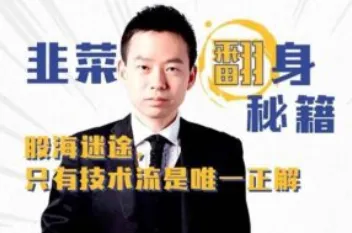 《股市实战课：韭菜翻身秘籍》