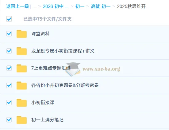 2025 秋初中初一数学思维开发 7 阶课程