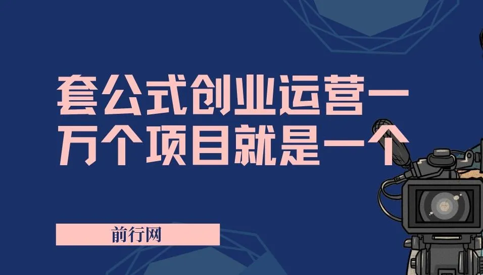 套公式创业运营：一万个项目就是一个