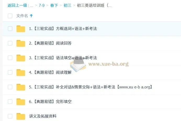 2025宋玥初三英语中考冲刺班(春下·全国版·A+)系统课程
