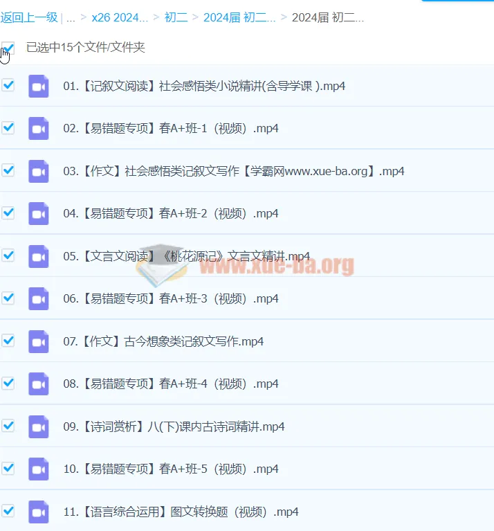 2024初二语文柳宁语文A+寒假班（春上）课程