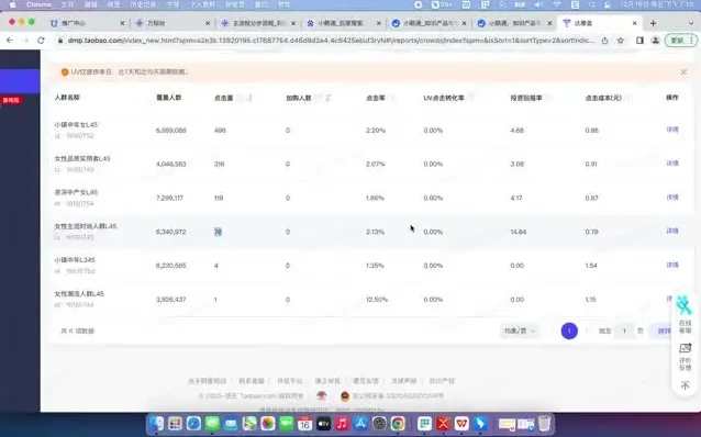 达摩盘引力魔方万相台投放实战：人群分析与高效组合策略