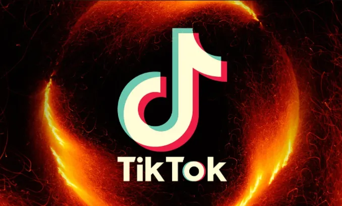 TikTok中视频项目陪跑教程,全赛道玩法从0到1教学,适合海外收入新手