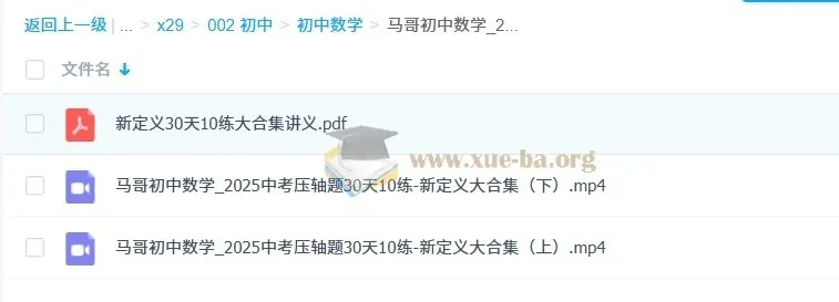 2025中考数学压轴题冲刺：30天10练新定义大合集