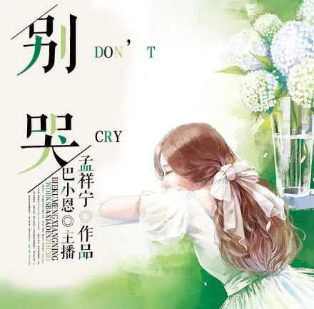 有声小说《别哭》43集全 巴小恩播音