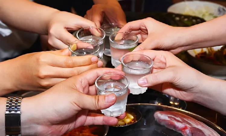酒桌交际实战指南：《酒饮真经》助你从容应对各类酒局