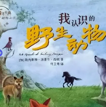儿童故事《我认识的野生动物》118集完整版 欧内斯特·汤普生·西顿经典动物小说有声书