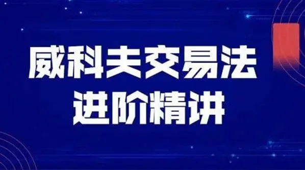 飞云金教《威科夫量价分析》交易实战课程