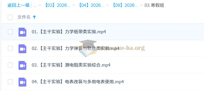 张雯2026高三高考物理二轮寒假班：主干实验专项突破