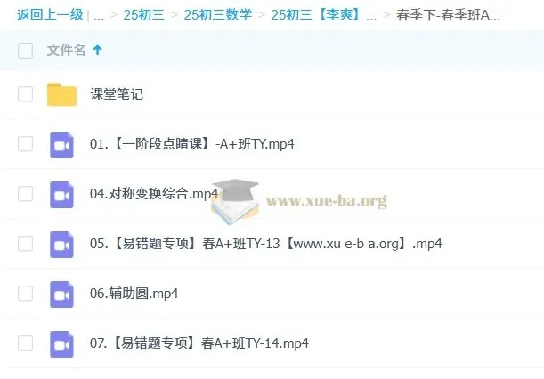 2025初三中考数学 李爽 全年系统班（暑假班/秋季班/寒假班/春季班）持续更新
