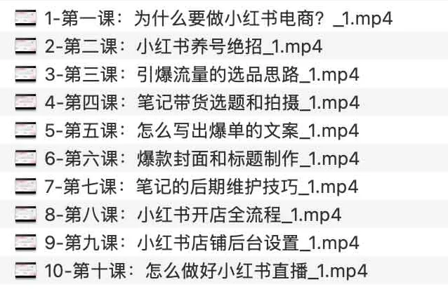 小红书电商课程:笔记带货与店铺运营全攻略