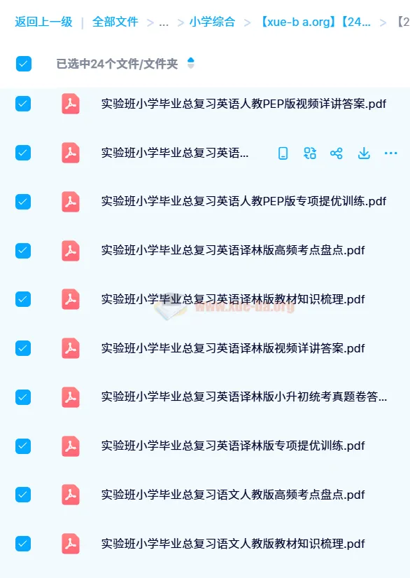 实验班小学毕业总复习（24版）全科真题测评与专项提优训练