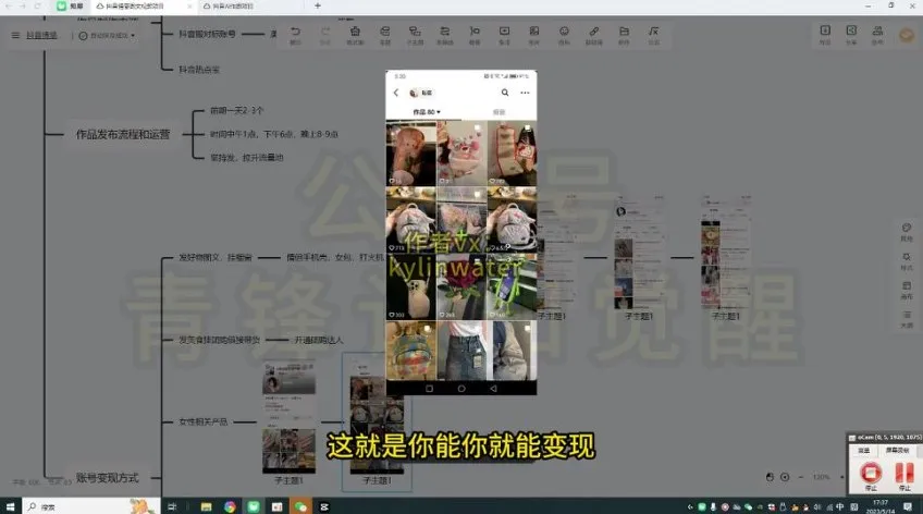 抖音浪漫图文涨粉变现教程：每日10分钟轻松引流女性粉丝