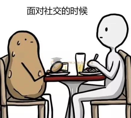 学会闲聊：一分钟打开话匣子，终结尬聊，拯救社恐，优化关系，激活创造力