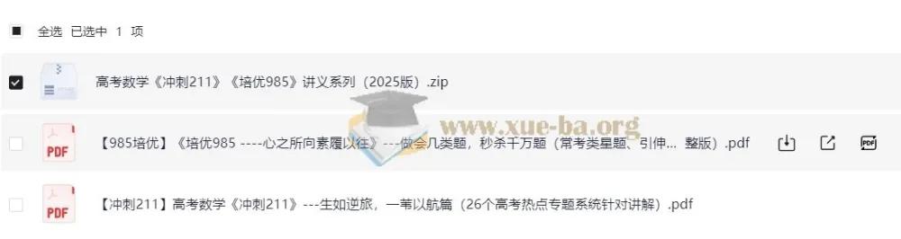 2025高考数学冲刺211培优985讲义合集