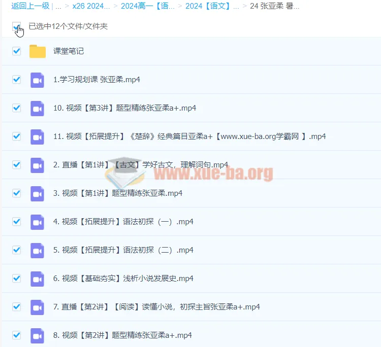 2024高中语文 张亚柔高一暑假提升课程