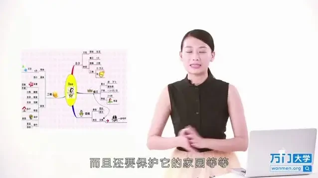 世界记忆大师亲授：快速提升记忆力的系统训练指南
