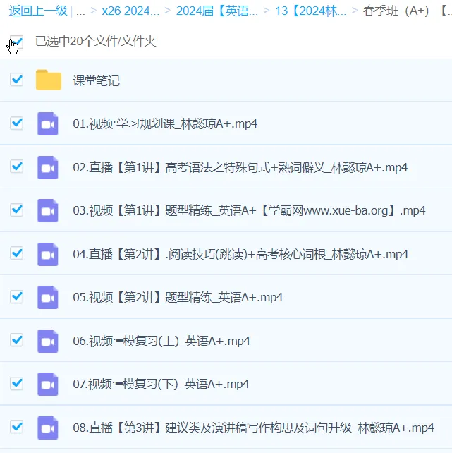 2024高三高考英语 林懿琼A+春季班 系统提升课程
