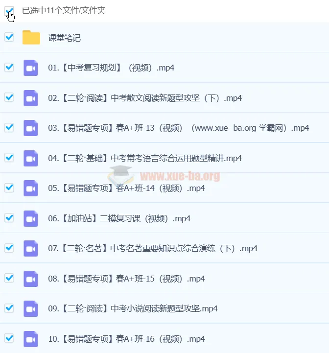 杨荷2024初三中考语文A+春季班(下)视频课程