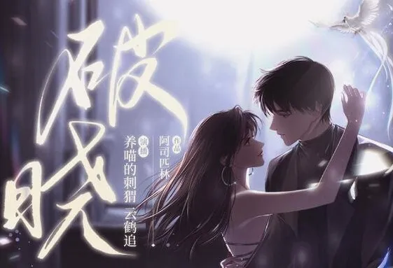 有声小说《破晓》阿司匹林新作 养喵的刺猬播音 97集完结