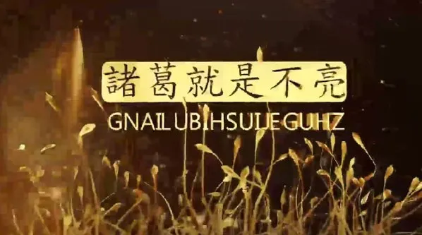 陈凯诸葛就是不亮交易之路初中高级课程合集