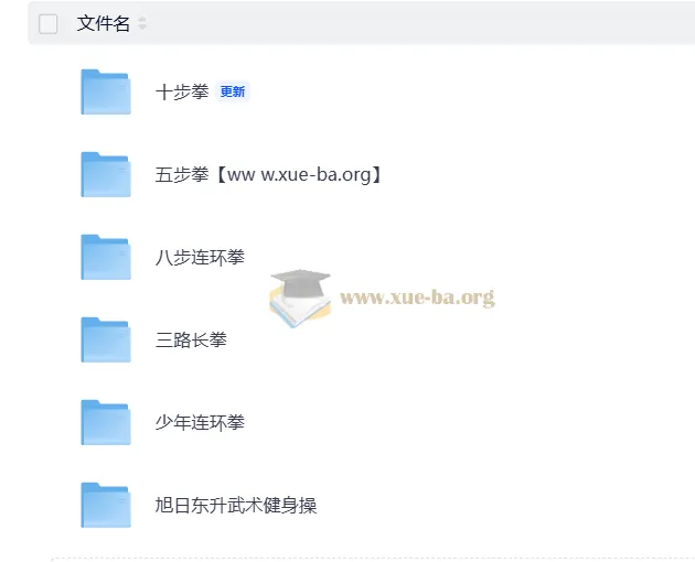 少儿武术入门合集：拳法套路与健身操系统教学