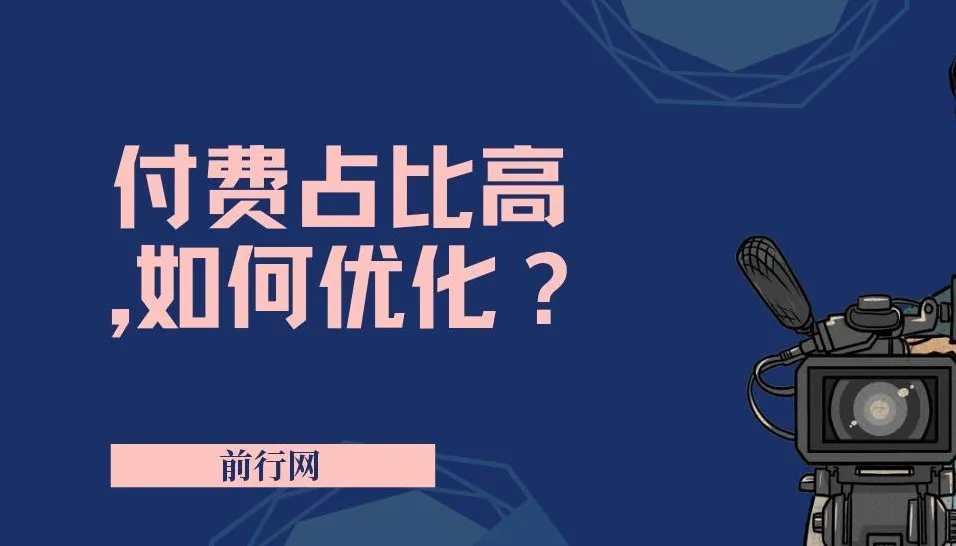 付费占比优化实战指南：从根源到技巧的高效解决方案