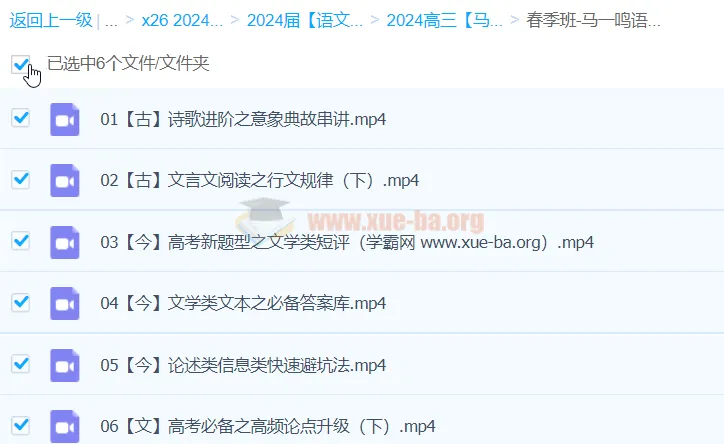 马一鸣语文2024高三高考语文春季班冲刺课程
