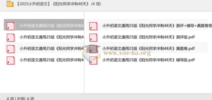 2025小升初语文冲刺必备:《阳光同学冲刺48天》备考资料合集