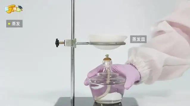 乐乐课堂全学科大合集:小初高同步+国学历史+科学实验视频