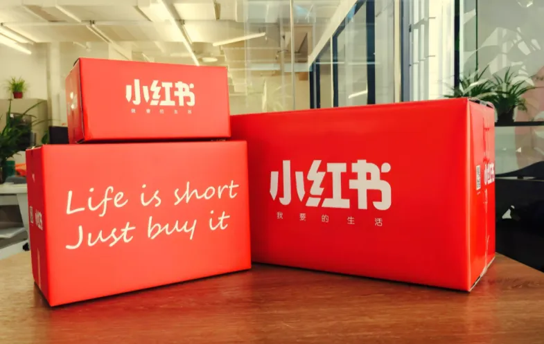 小红书提款机实战教程：素人博主从0到1接单全攻略，账号定位到长期合作陪跑
