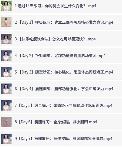 B站韩小四瘦腿直腿居家训练全方案：14天系统课程打造腿部线条