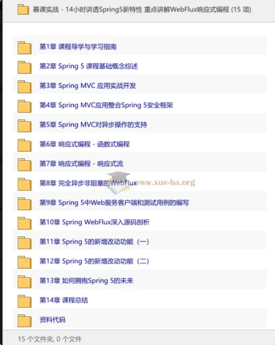 Spring5新特性深度解析：14小时实战WebFlux响应式编程