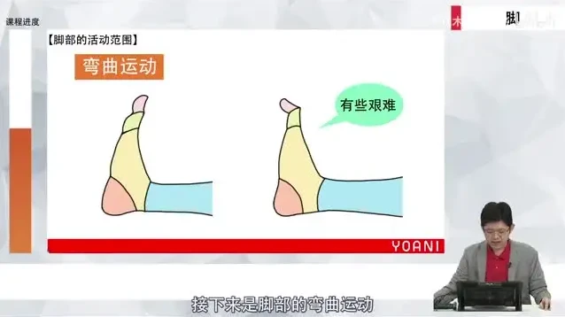 零基础角色绘画速成指南:代代木动画学院系统课程