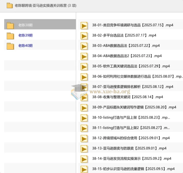 老陈聊跨境·亚马逊实操通关训练营:从选品到广告投放的全链路实战课程