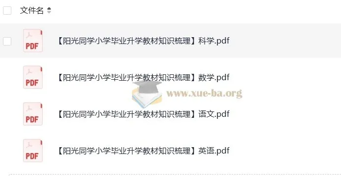 阳光同学小学毕业升学小升初教材知识梳理（语文数学英语科学四科合辑）