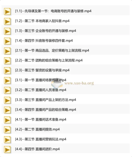 抖音AI直播精英流量特训营：从账号搭建到千川投放，全域流量变现实战全课