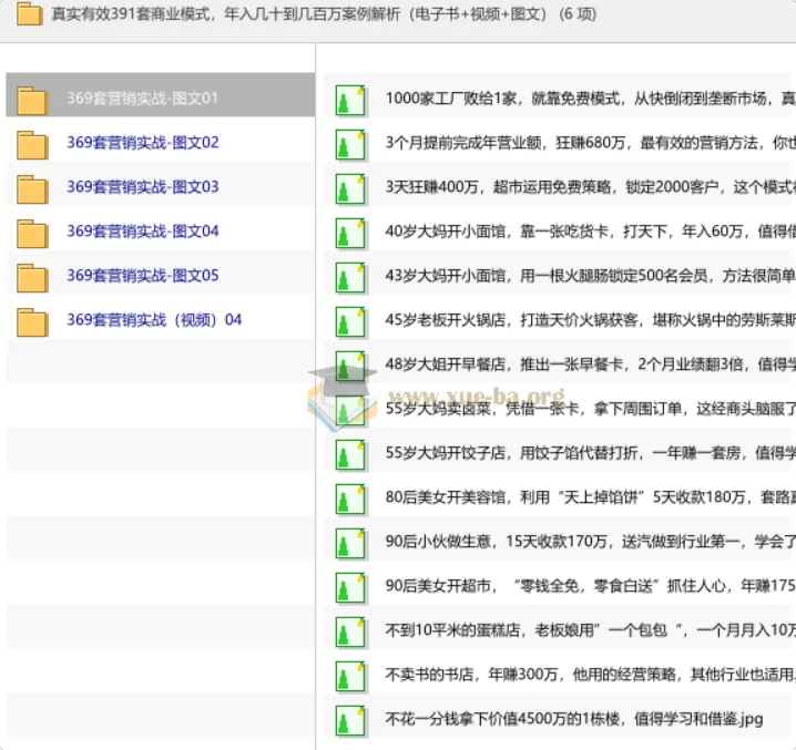 391套真实商业模式案例解析:从年入几十万到几百万的实战策略(电子书+视频+图文)
